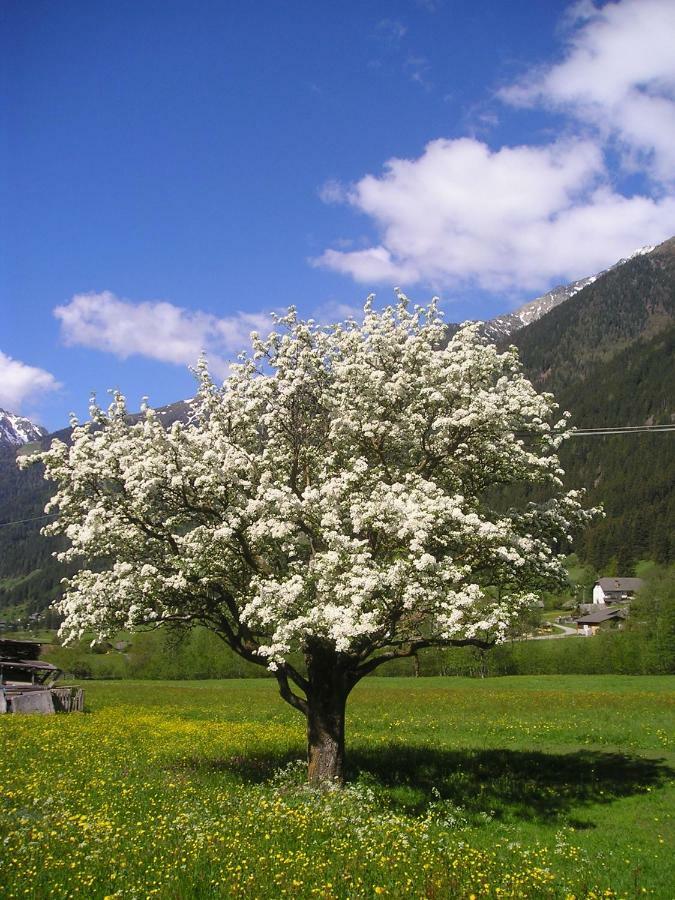 Muellerhof Βίλα Anterselva di Mezzo Εξωτερικό φωτογραφία