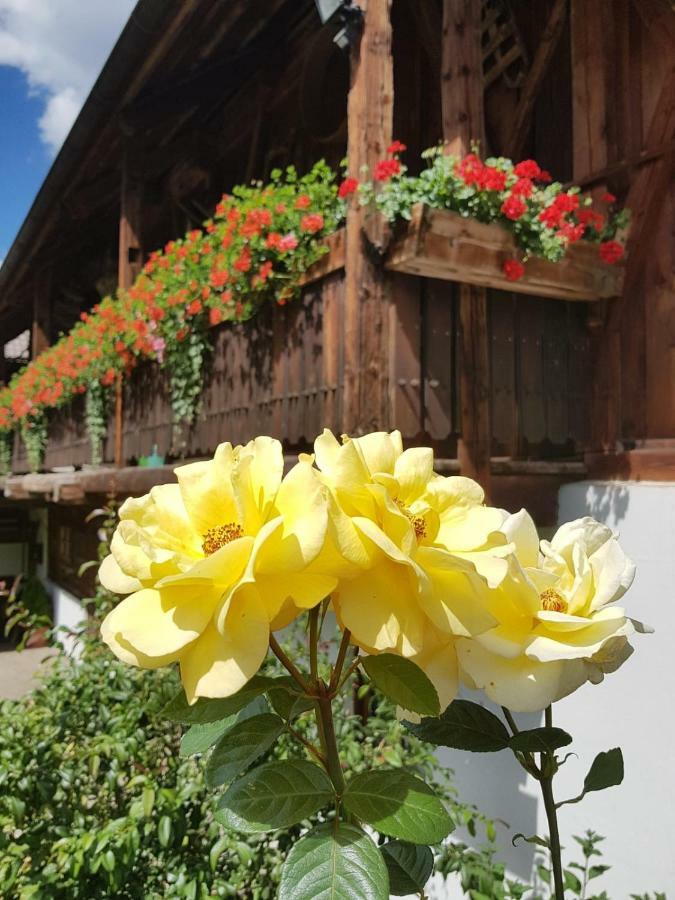 Muellerhof Βίλα Anterselva di Mezzo Εξωτερικό φωτογραφία